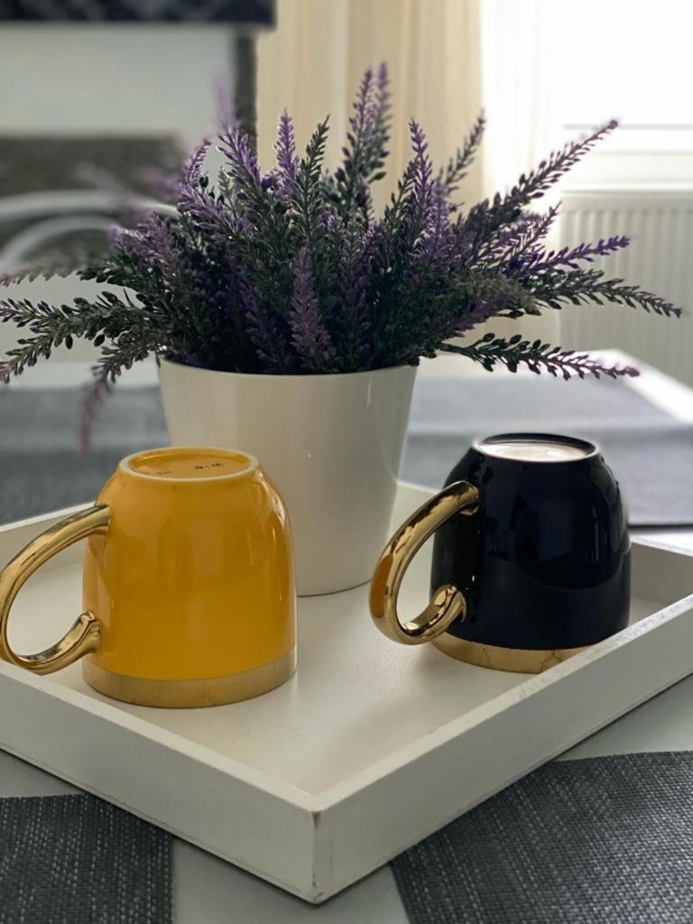 Apartament Doua Camere バイア·マーレ エクステリア 写真