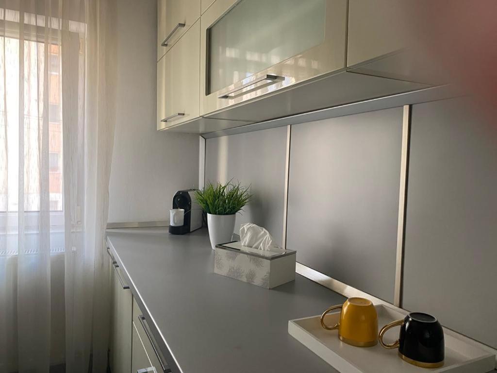Apartament Doua Camere バイア·マーレ エクステリア 写真